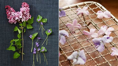 lilacs-in-candied-form-theyre-a-literal-taste-of-spring image