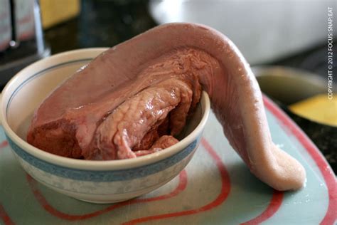 a-plate-licking-good-beef-tongue-dish-focussnapeat image