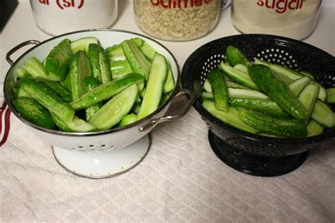 grandmas-homemade-dill-pickles-mommys-kitchen image