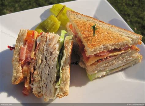 special-club-sandwich-recipe-recipeland image