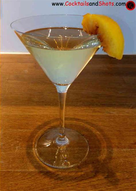 fuzzy-martini-recipe-ingredients-how-to-make-a-fuzzy image