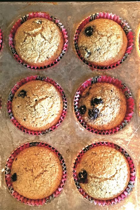 blueberry-oat-bran-muffins-recipe-dairy-free-gluten-free image