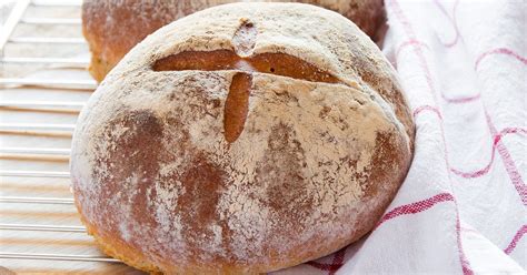 pagnotta-italian-round-country-bread-italian image