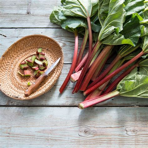 what-is-rhubarb-plus-how-to-cook-it-taste-of-home image