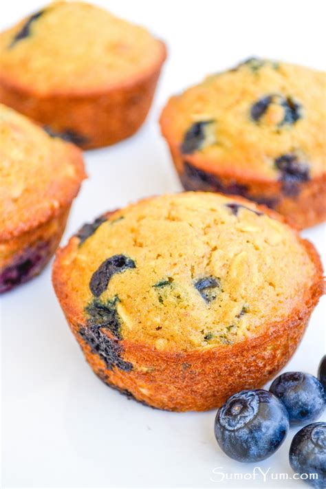 blueberry-oatmeal-muffins-sum-of-yum image