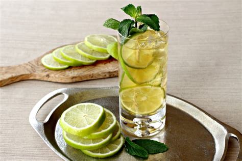 gin-and-ginger-fizz-recipe-food-fanatic image
