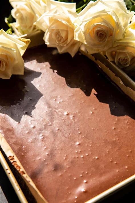 retro-style-chocolate-sheet-cake-half-baked-harvest image