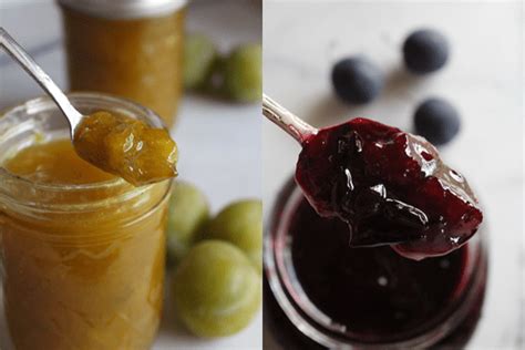 plum-jam-recipe-without-pectin-practical-self-reliance image