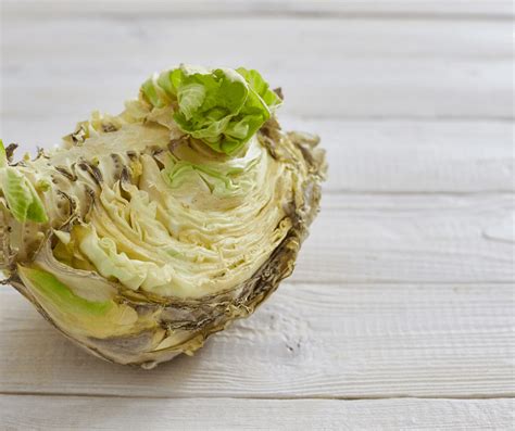 how-to-tell-if-cabbage-is-bad-dried-foodie image