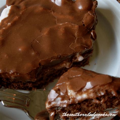 mississippi-mud-cake-the-southern-lady-cooks image