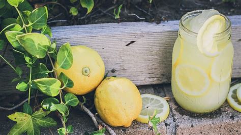 lemonade-slushies-recipe-3-lemonade-slushy image