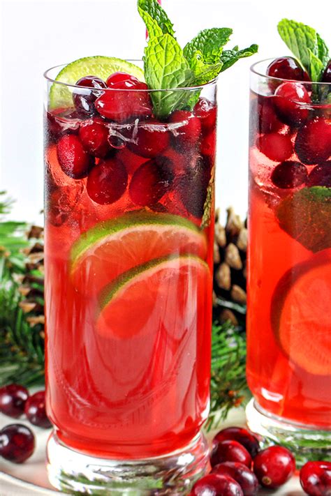 cranberry-mojito-cocktail-recipe-home-cooking image