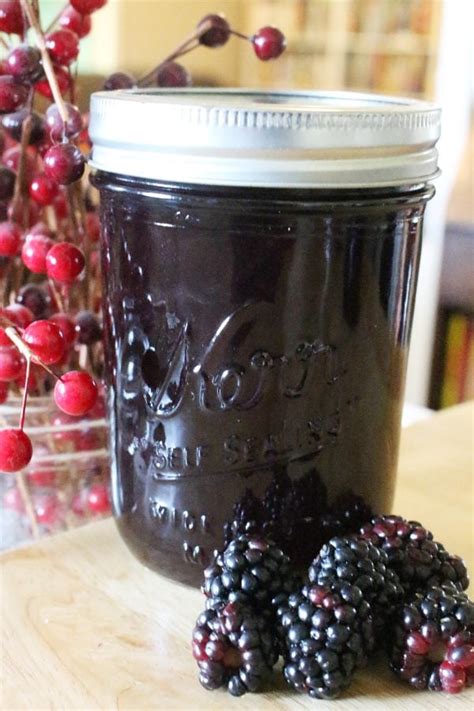 blackberry-jelly-recipe-no-pectin-sugar-only-a image