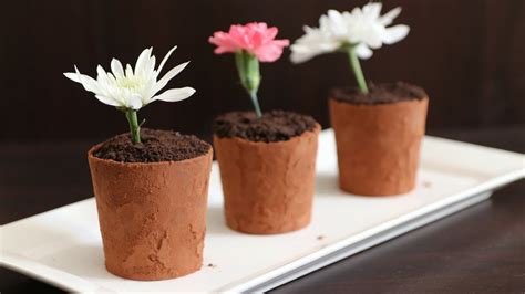 flower-pot-dessert-recipe-the-cooking-foodie image