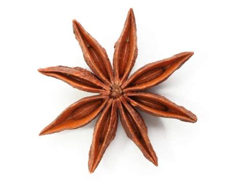spice-of-the-month-star-anise-food-network-healthy image