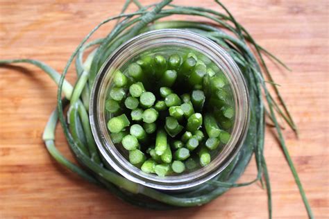 pickled-garlic-scapes-recipe-for-canning-practical image