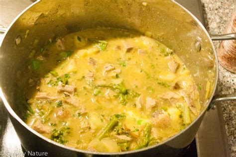 leftover-lamb-curry-recipe-savory-nature image