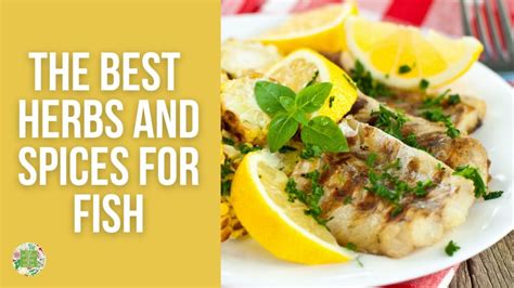 20-best-herbs-and-spices-for-fish-the-world-of-herbs image