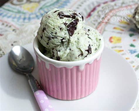 homemade-mint-chocolate-chip-ice-cream-amandas image