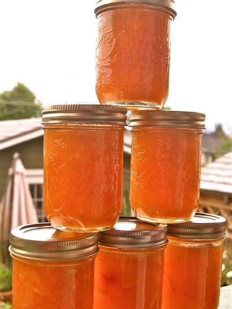apricots-ginger-and-honey-jam-red-cedar image