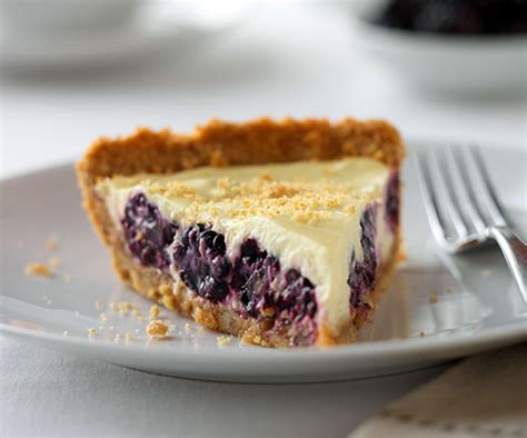 blackberry-yogurt-pie-recipe-horizon-organic image