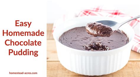 easy-chocolate-pudding-recipe-homestead-acres image