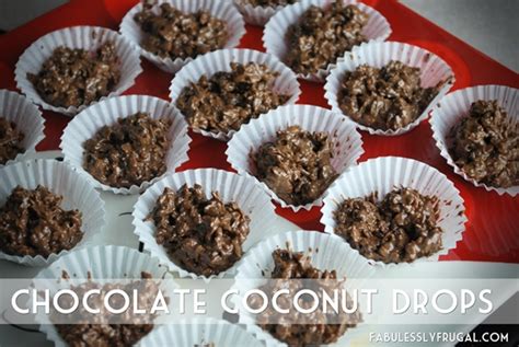easy-chocolate-coconut-drops-recipe-2-ingredients image