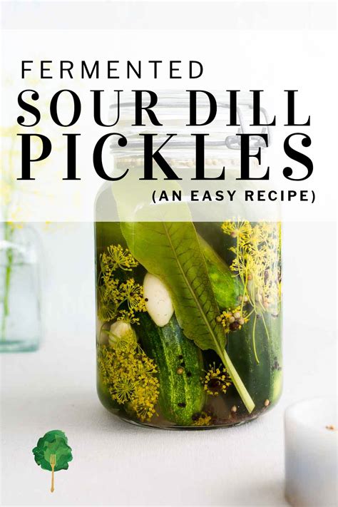 how-to-make-sour-pickles-fermented-pickle image