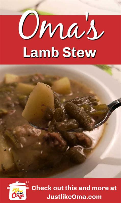 easy-recipe-for-lamb-stew-made-just-like-oma image