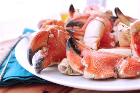 5-minute-steamed-stone-crab-claws-kits-kitchen image