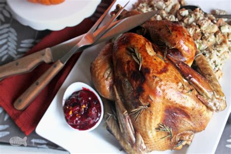 apple-cider-turkey-recipe-with-gluten-free-turkey-gravy image