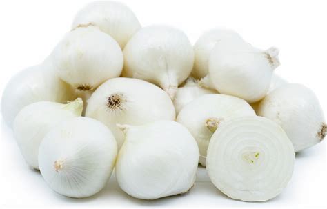 boiling-onion-information-recipes-and-facts image