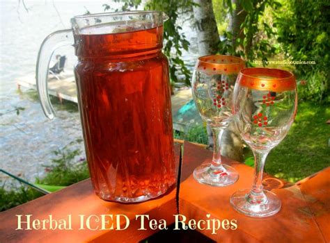easy-herbal-iced-tea-recipes-studio-botanica image