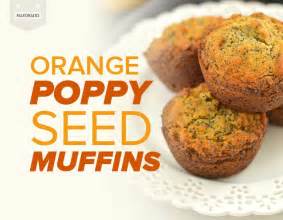 orange-poppy-seed-muffins-the-paleohacks-blog image