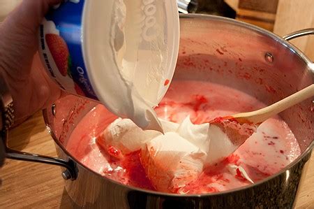 raspberry-jello-mold-pollys-pink-stuff-lanas-cooking image