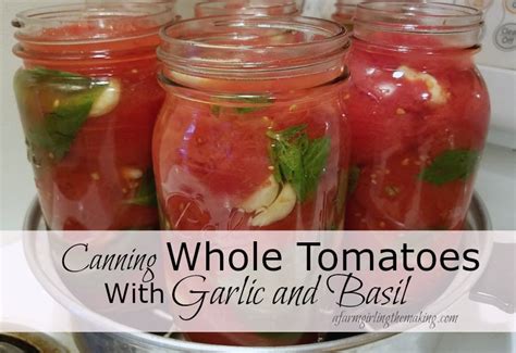 canning-tomatoes-with-basil-and-garlic-a-farm-girl-in image