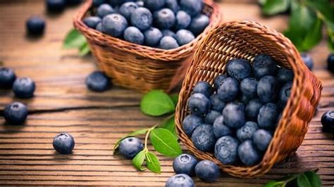 6-best-fertilizers-for-blueberries-of-2022-average image