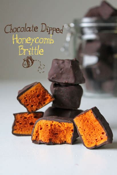 chocolate-dipped-honeycomb-brittle-tasty-kitchen image