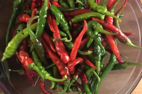 all-about-chile-chili-chilli-the-low-fodmap-diet image