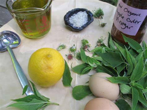 mayonnaise-master-recipe-all-its-herbal-variations image