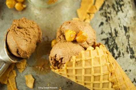 hazelnut-chocolate-ice-cream-recipe-gianduja image