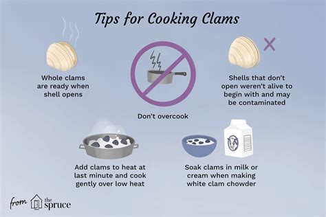 preparing-and-cooking-fresh-clams-the-spruce-eats image