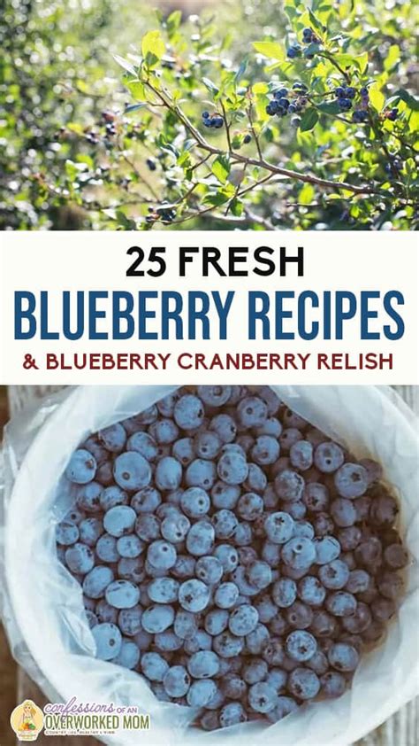 25-fresh-blueberry-recipes-blueberry-and-cranberry-relish image