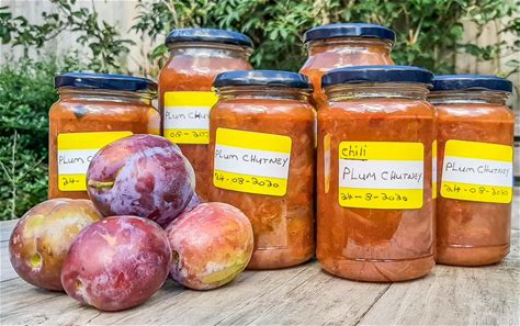 plum-chutney-recipe-tangy-and-delicious-baldhiker image