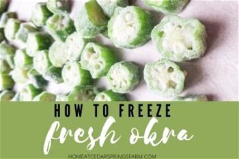 how-to-freeze-fresh-okra-home-at-cedar-springs-farm image