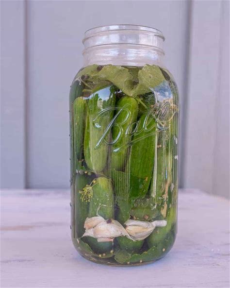 easy-fermented-pickles-bless-this-mess image