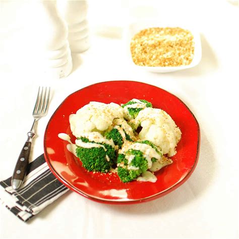 dijon-bechamel-bechamel-joes-healthy-meals image