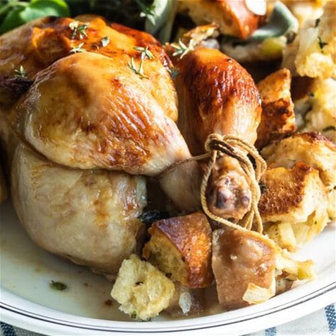 cornish-hens-with-stuffing-culinary-hill image