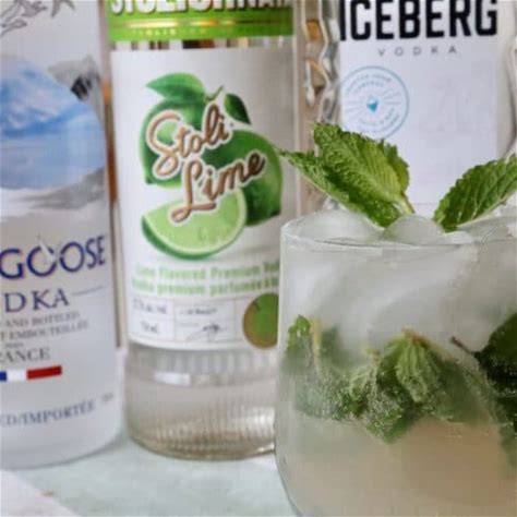 easy-mint-lime-vodka-mojito-cocktail image