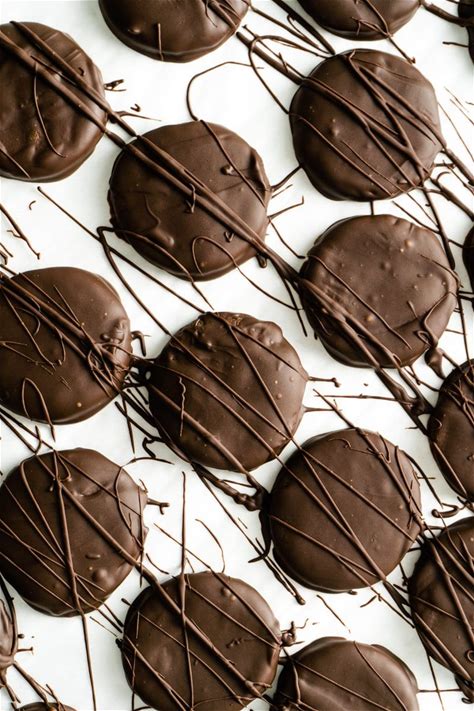 homemade-vegan-thin-mints-the-delicious-spoon image